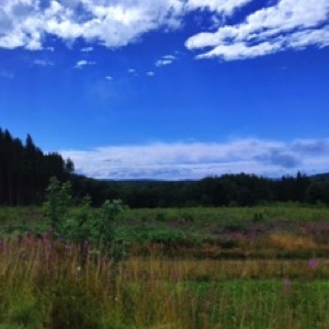 Week-end belge 🇧🇪.#belgium